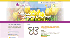 Desktop Screenshot of floresdebach.org.mx